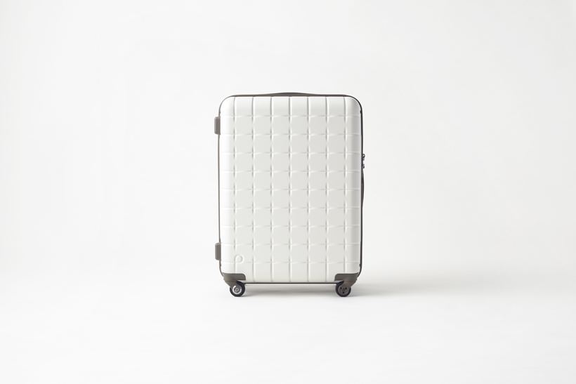 ace proteca luggage